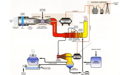 Plant Process